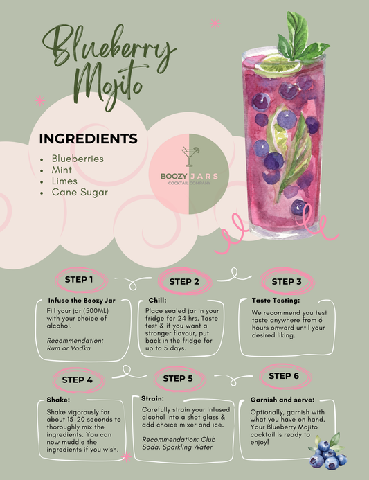 Blueberry Mojito Cocktail Infusion Kit (500ML)